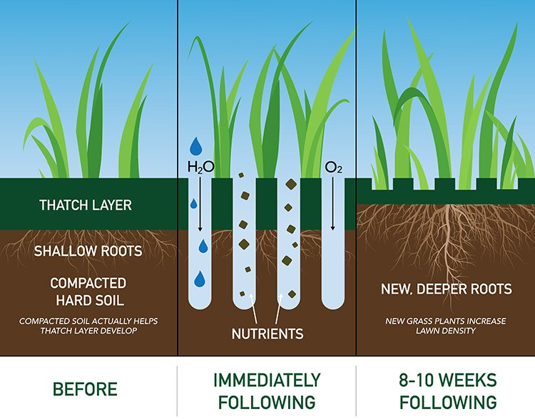 Benefits of Aeration