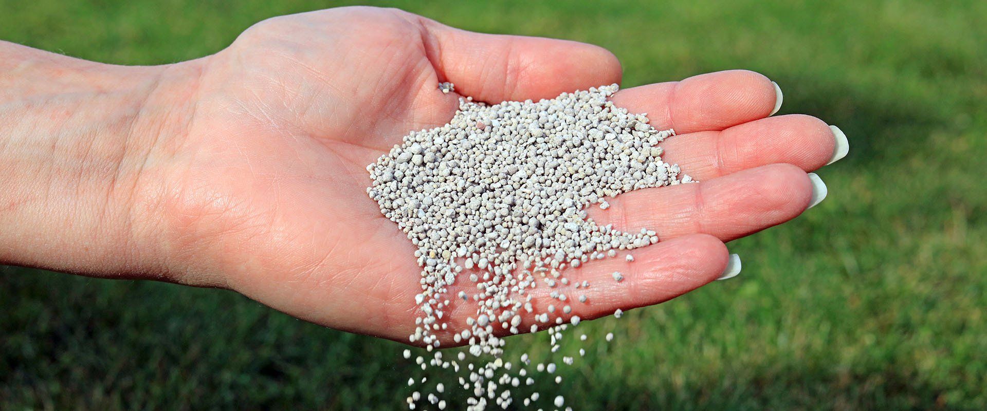 Lawn Fertilizer