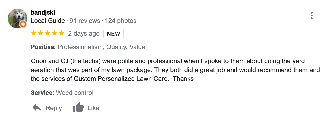 Google Review 2