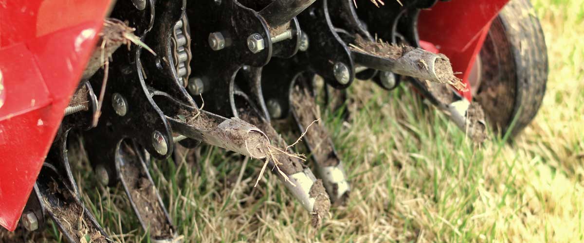Core Aeration Service