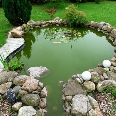 Pond