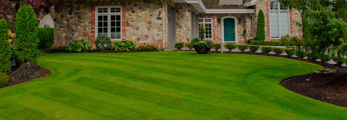beautiful lawn