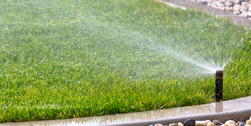Water Your Lawn