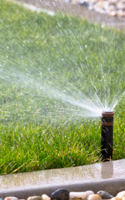 lawn sprinkler