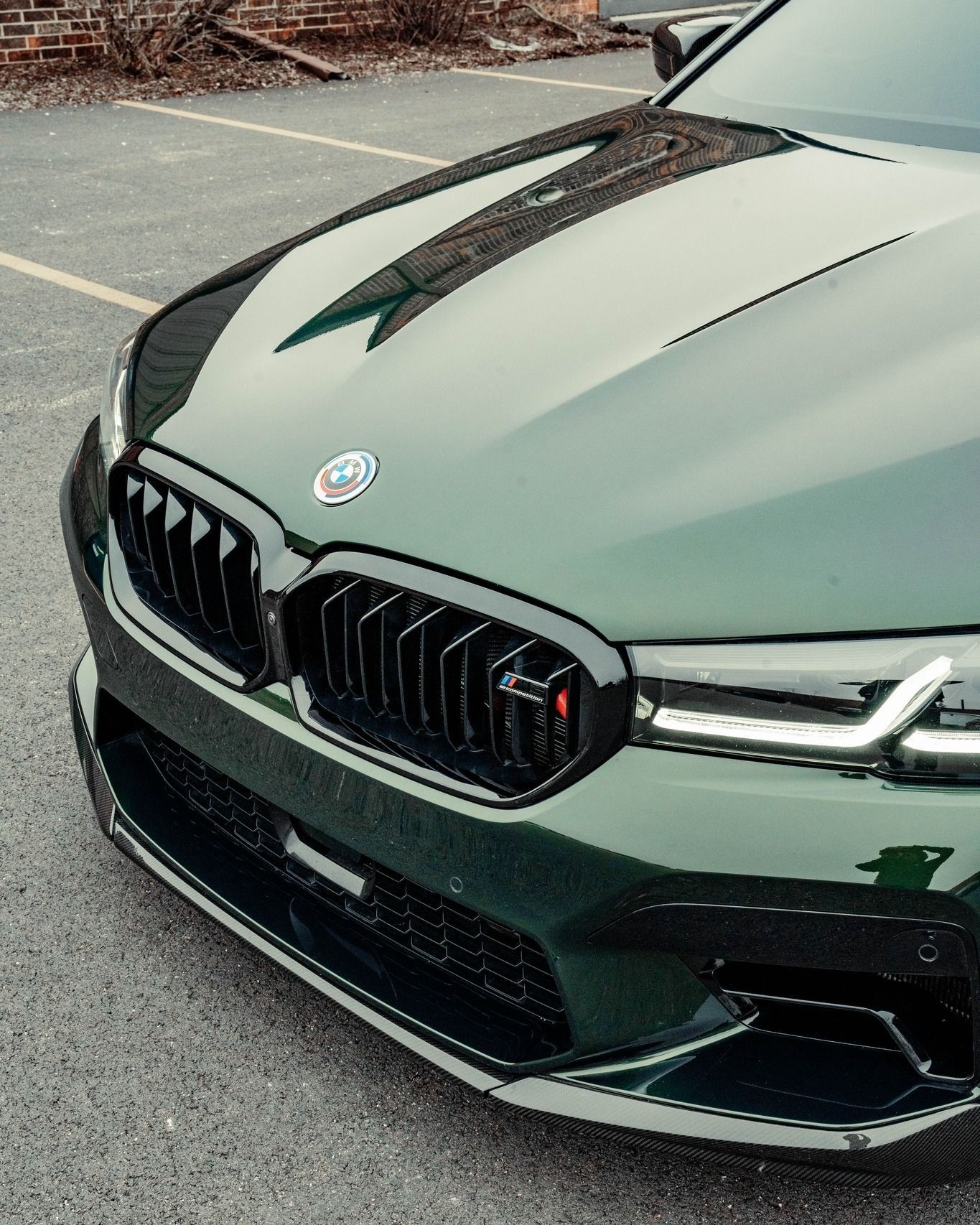 car with paint protection film