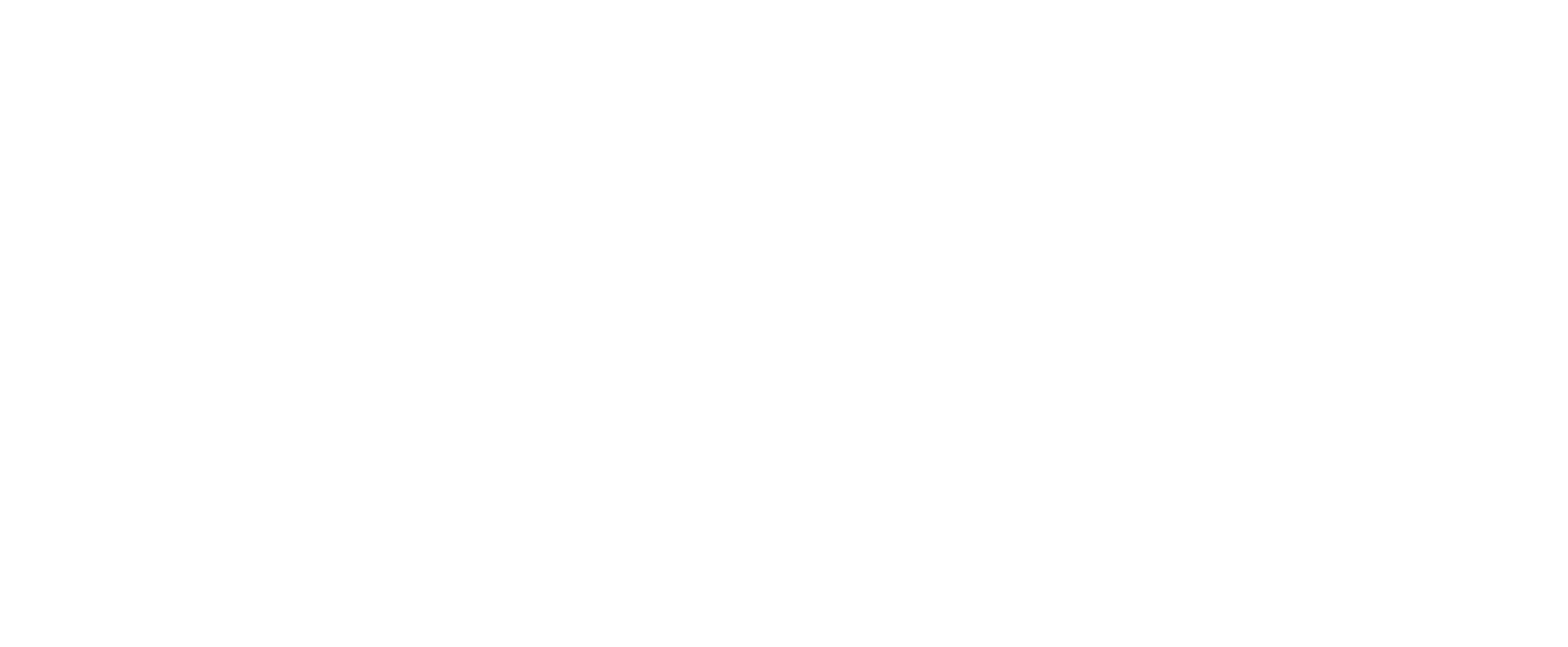 Chicago Auto Pros