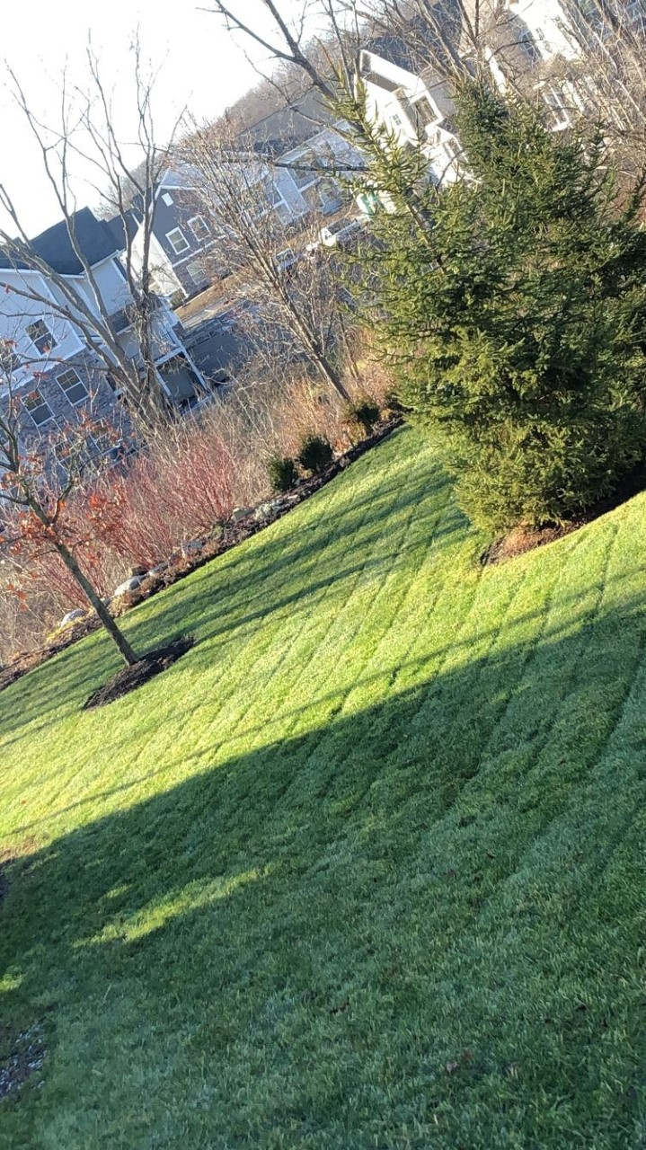 Green Grass With Lines — Fairborn, Ohio — Smith’s Lawn & Landscaping