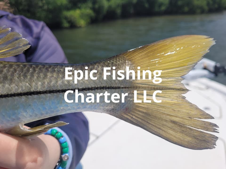 Fishing Guide