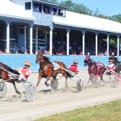A harness race on a dirt track, with several horses and drivers in sulkies passing a large grandstand.