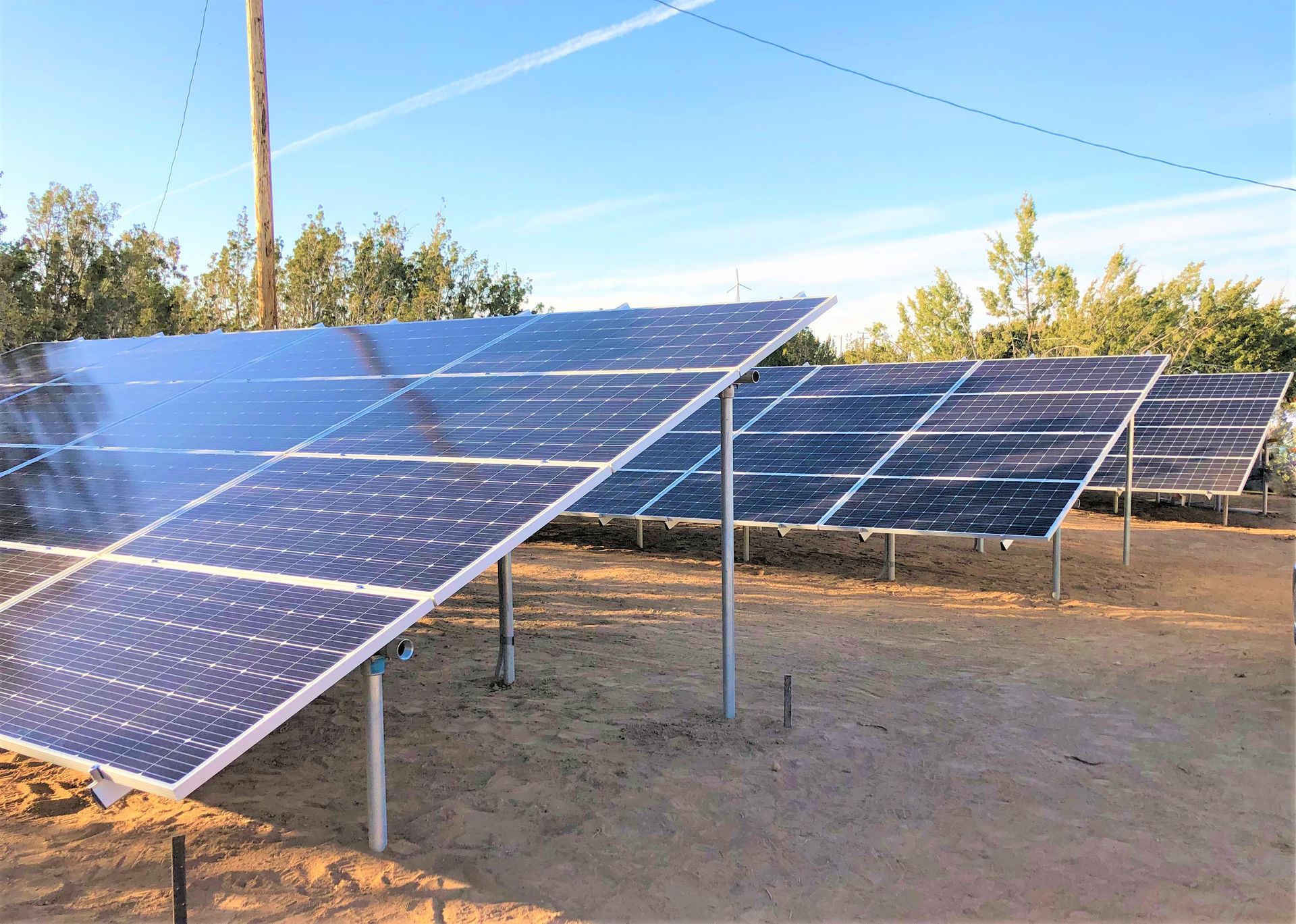 Rows of blue solar panels in a sunny outdoor field with trees and power lines behind them