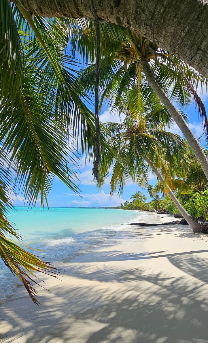Tropical beach with white sand, turquoise water, and palm trees framing the shoreline