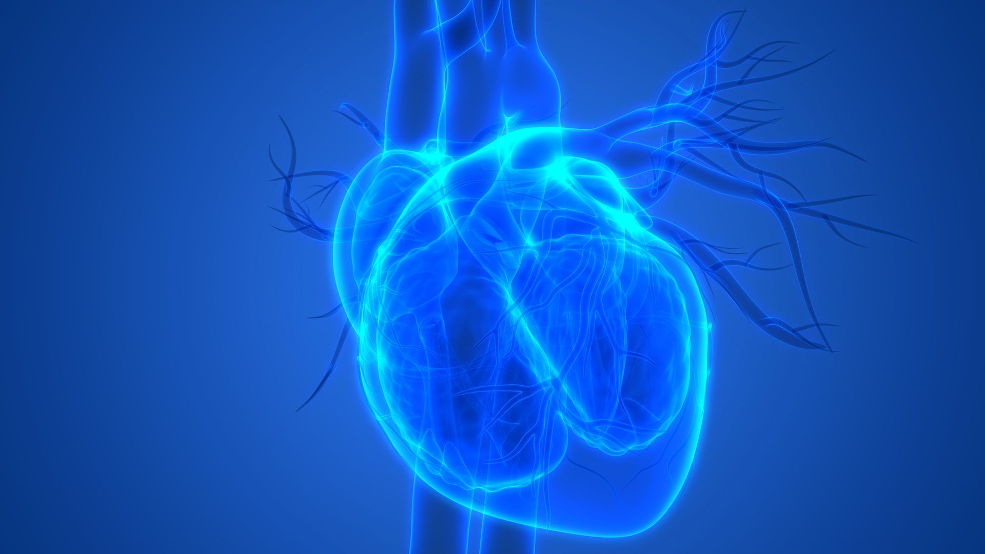 Médico cardiologista em Maringá Médico cardiologista em Maringá