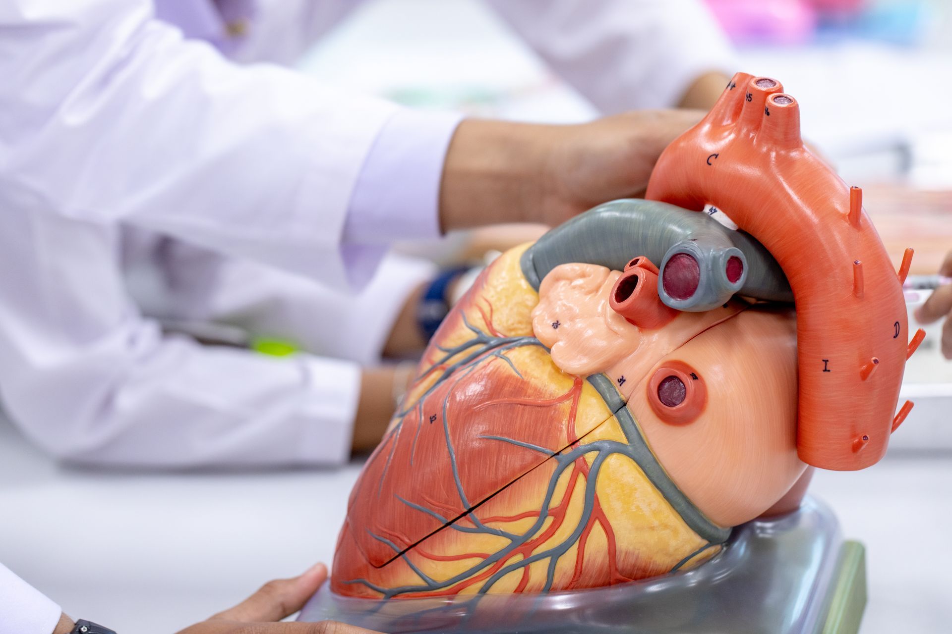 Médico para valvas cardíacas em Maringá