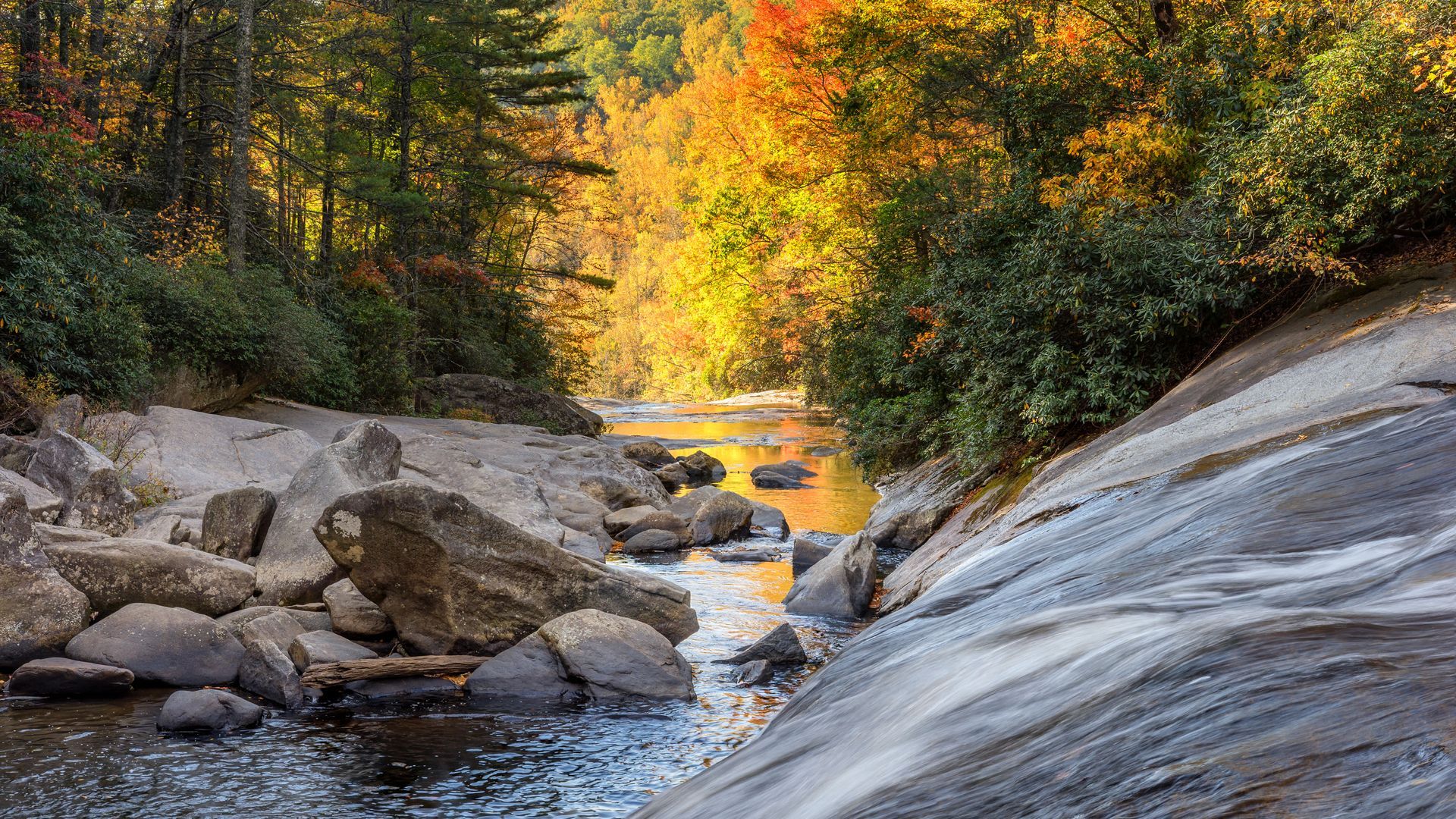 Rocky stream in a forest with autumn trees and sunlit water cascading over smooth stone.