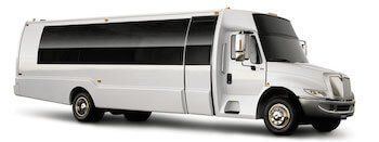 24 passenger Party Bus rental 24 passenger Party Bus