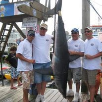 A group of men are standing next to a large shark on a dock.