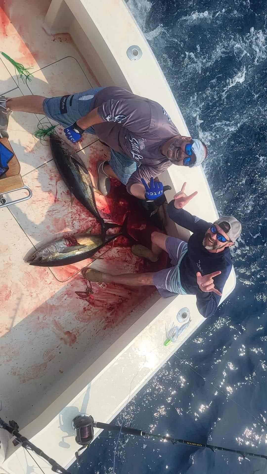 Blue Fin brought in
