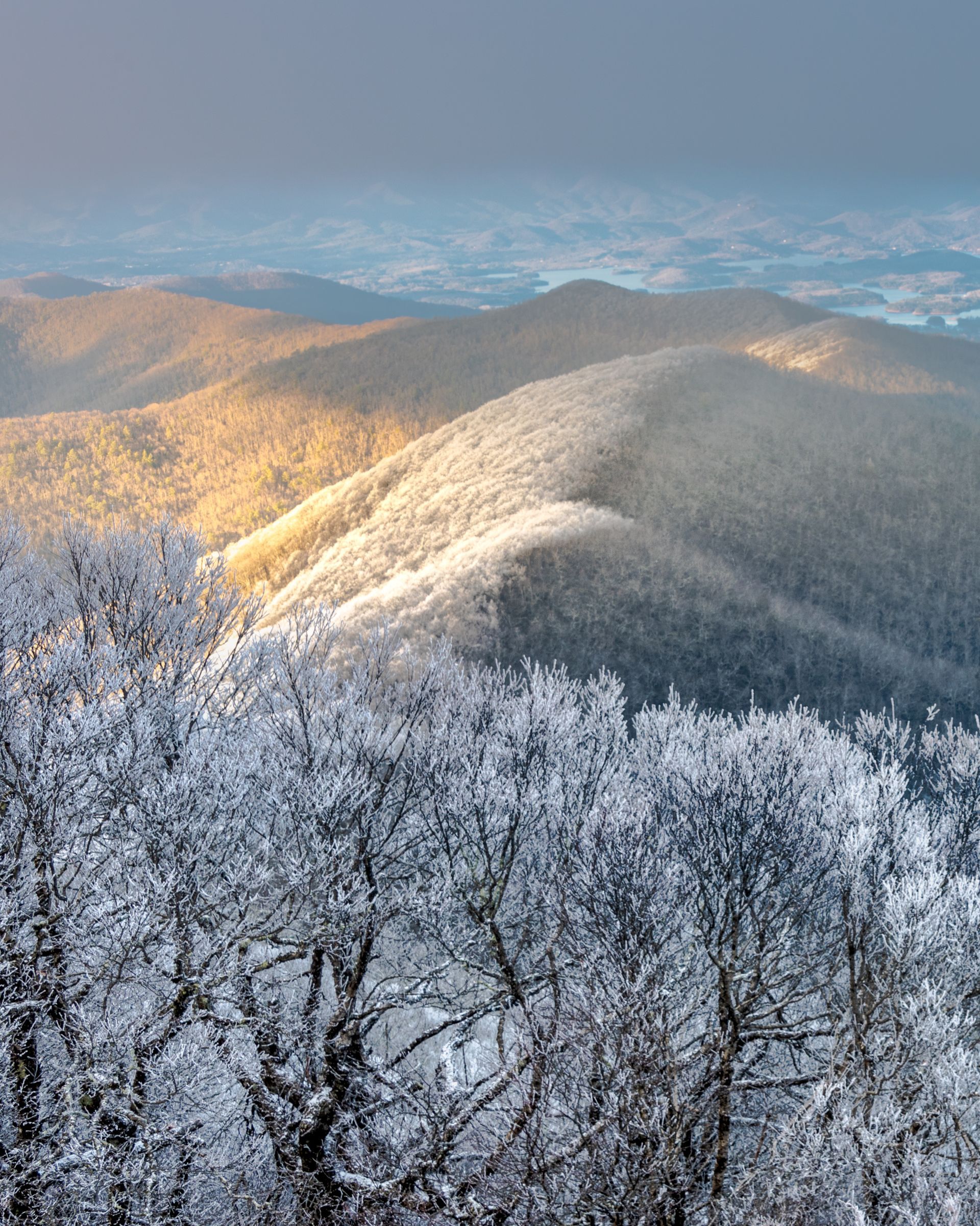 an aerial view of a snowy mountain range with trees covered in snow .  Brasstown Bald, Talking Excitingly, Brad Burgess Photography
