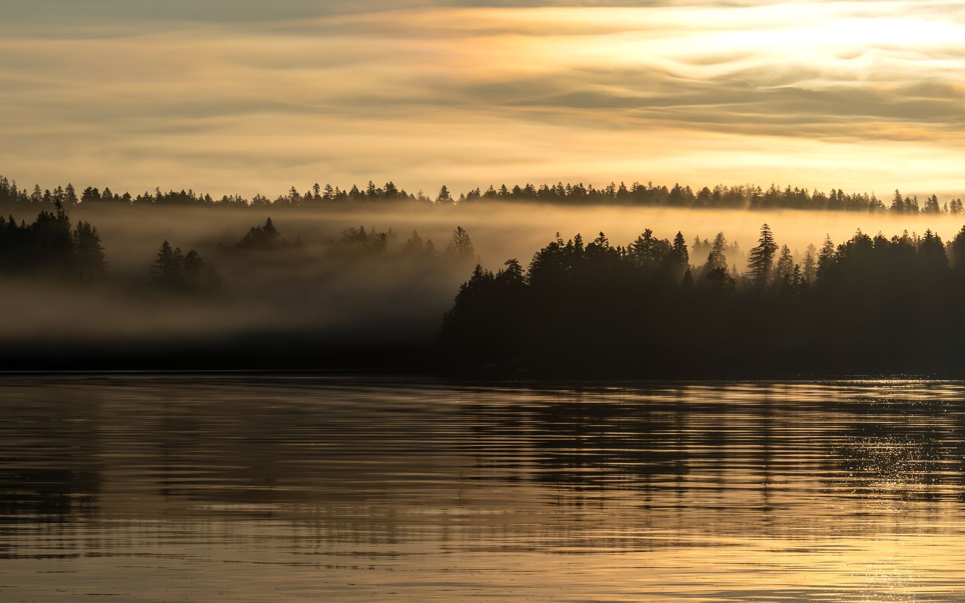 a foggy sunrise over the Maine coastline with trees in the background.  Maine, Mid-Coast Maine, Schooner Stephan Taber, Talking Excitingly, Brad Burgess Photography