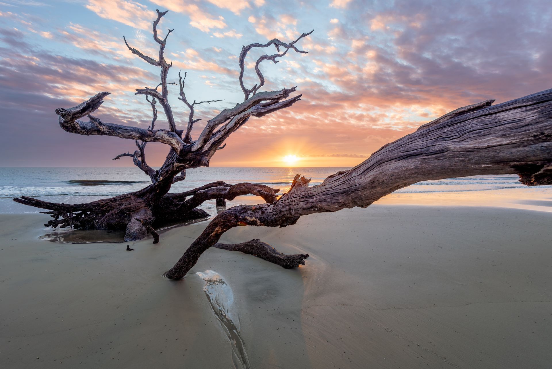 a tree is laying on the beach at sunset . Driftwood Beach, Jekyll Island, Talking Excitingly, Brad Burgess Photography