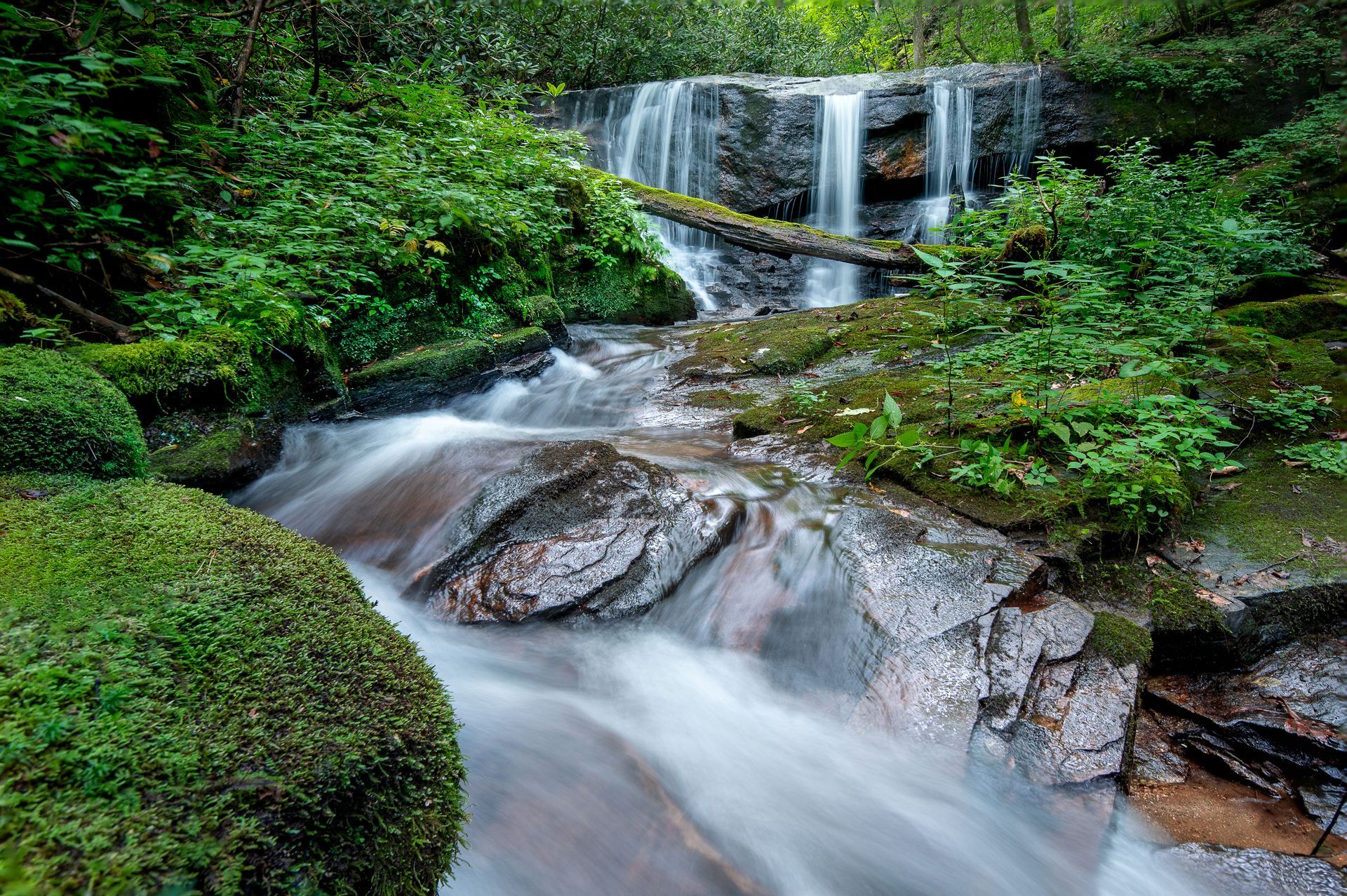 a waterfall in the middle of a lush green forest surrounded by rocks and moss . Triple Delight Falls, Brad Burgess Photography, Talking Excitingly