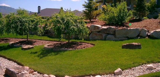 Lush green lawn with small trees, rock wall, and a house in the background. Sunny day.
