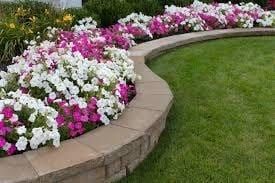 Green lawn care inc