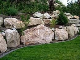 Green lawn care inc