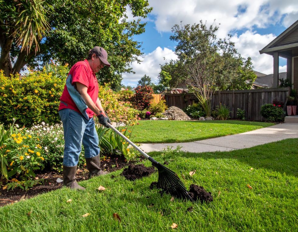 Man raking dirt and debris from a grassy lawn in front of a house on a sunny day.