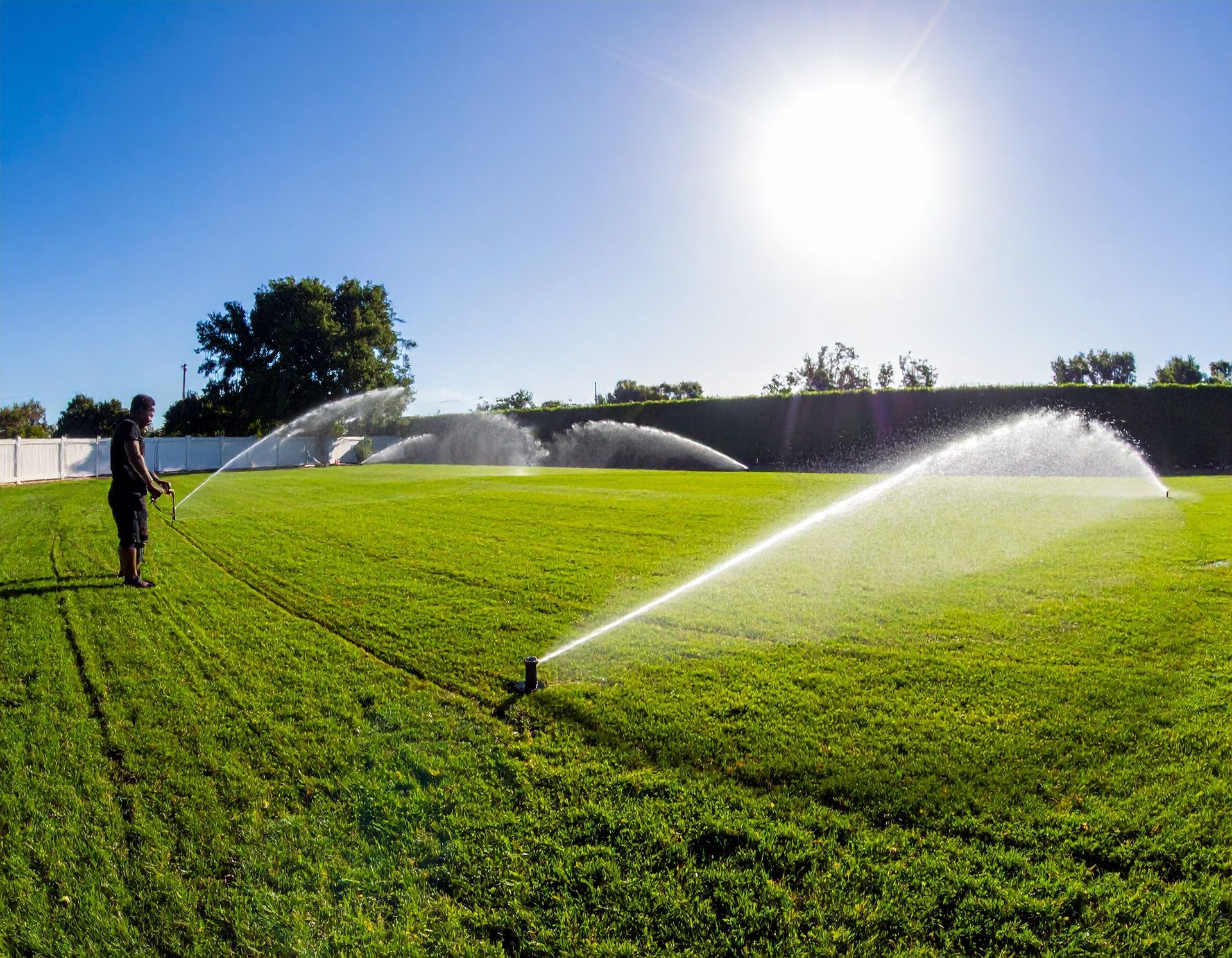 Lawn sprinkler watering a bright green field on a sunny day, with a person standing at left.