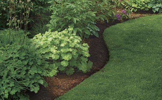 Green lawn care inc