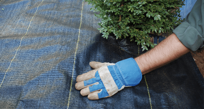 Green lawn care inc