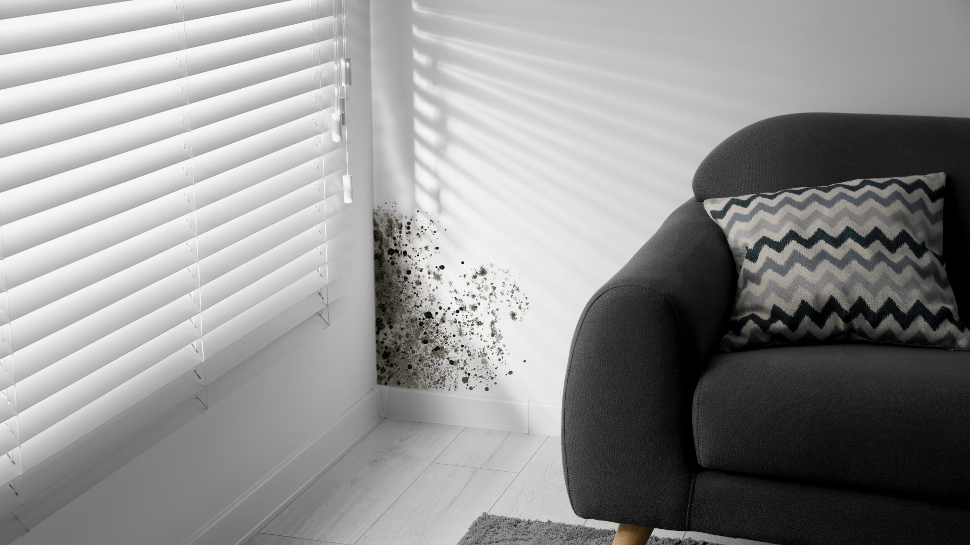 Mold growth on a white wall next to a window with closed blinds and a gray sofa with a patterned pillow.