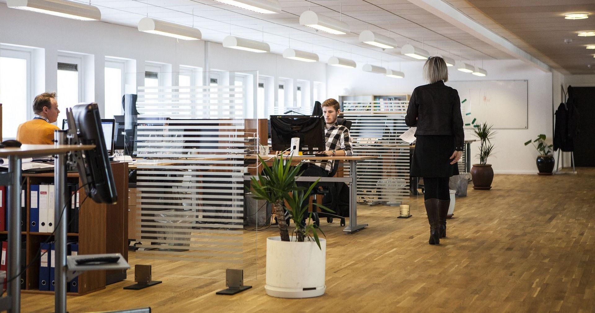 workers in an office
