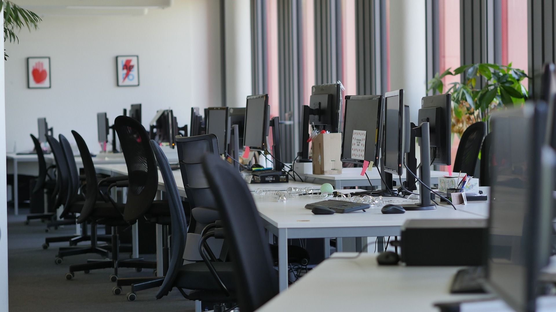 Office workspace with multiple computer monitors, desks, and chairs, and a plant.