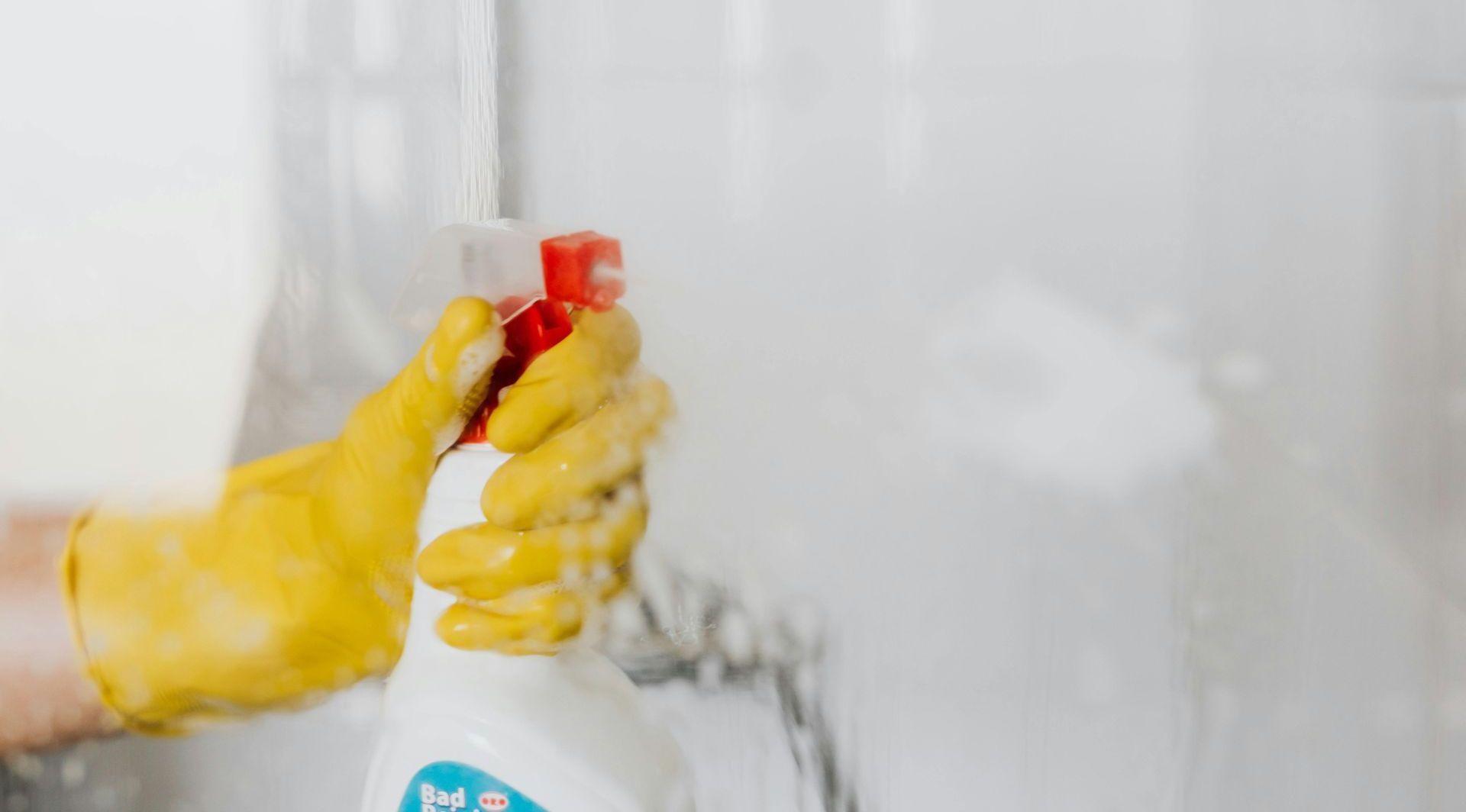 sanitizing a window