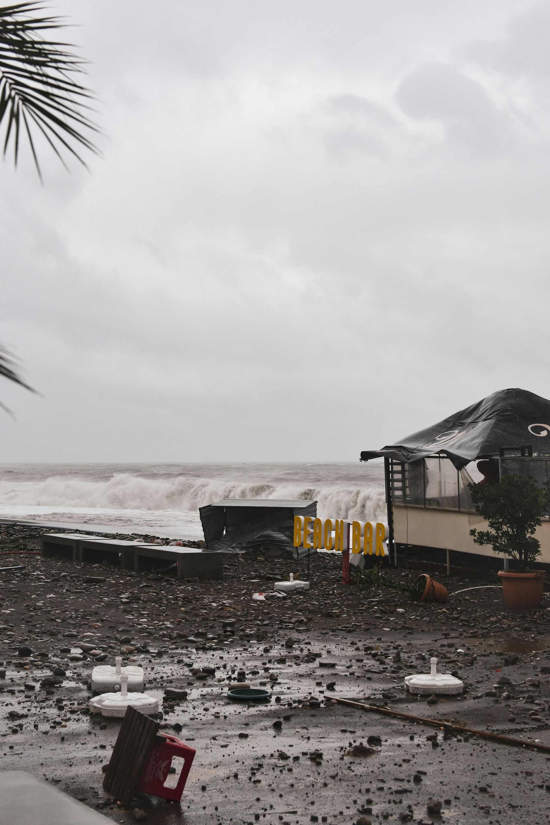 hurricane and auto glass relief 