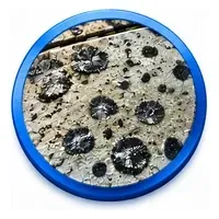 Black spot lichen staining on patio paving before treatment