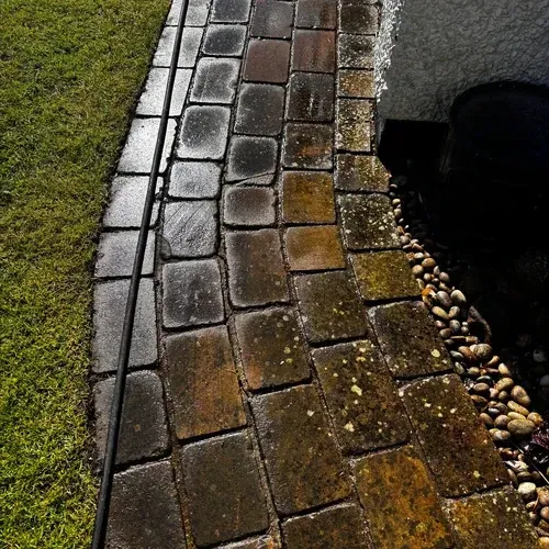 Block paving patio after professional cleaning with dirt and organic growth removed