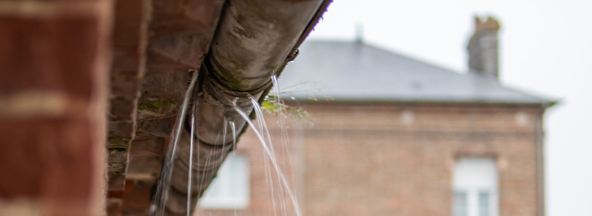 Gutter inspection and cleaning: Professional cleaning to prevent water damage, clear debris, and ensure gutters drain.