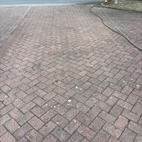 Dirty block paving driveway with weeds and organic growth before cleaning