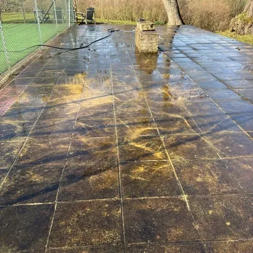 Large weathered flagstone patio with heavy organic growth before professional cleaning