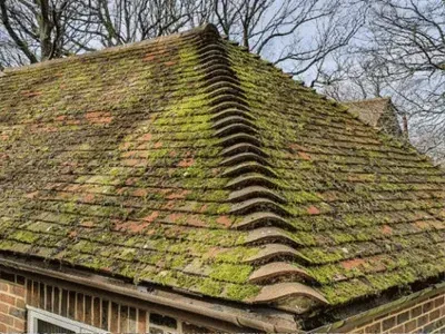 Concrete tiled roof heavily covered in moss and biological growth before professional roof cleaning.