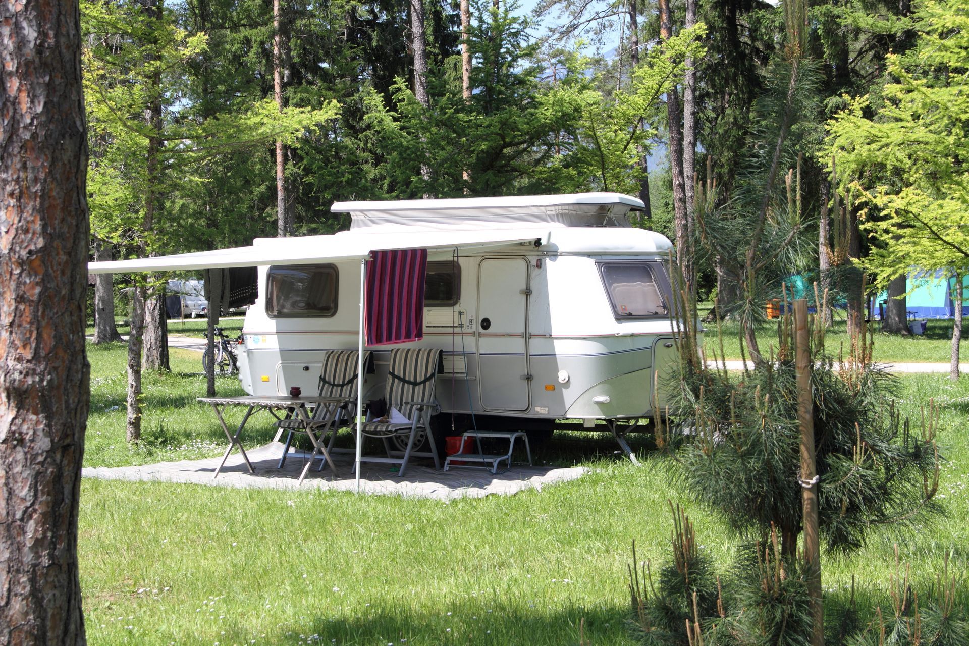 Un camping-car est garé dans une zone herbeuse entourée d'arbres.