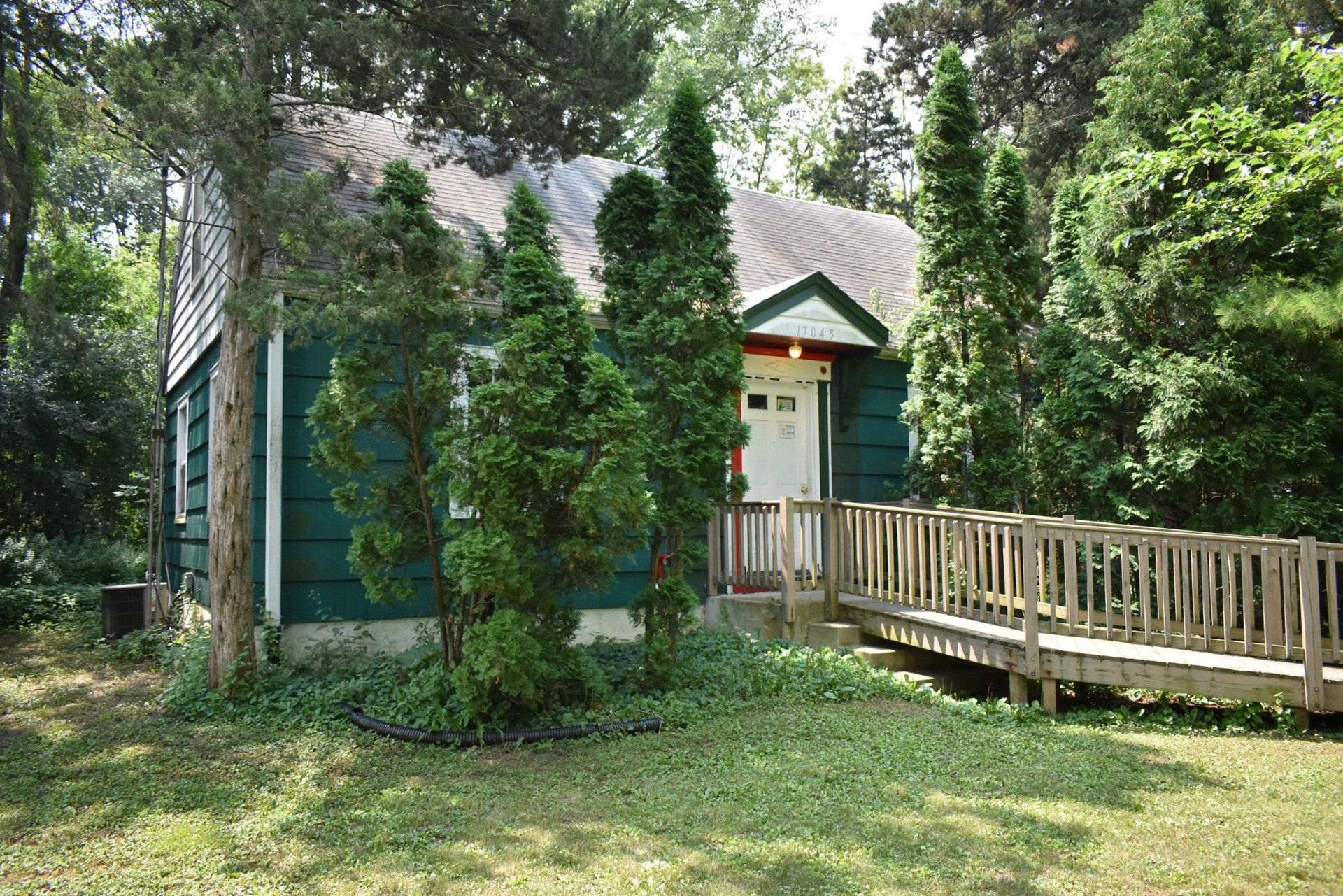 A small green house with a wooden walkway leading to it