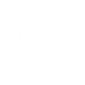 Imagem branca em branco