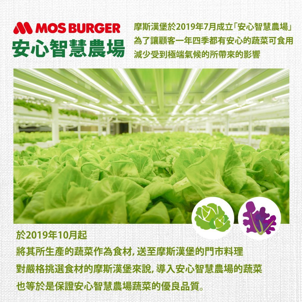 摩斯安心智慧農場生菜組合(加贈WOW PASTA義大利麵隨機口味4包)