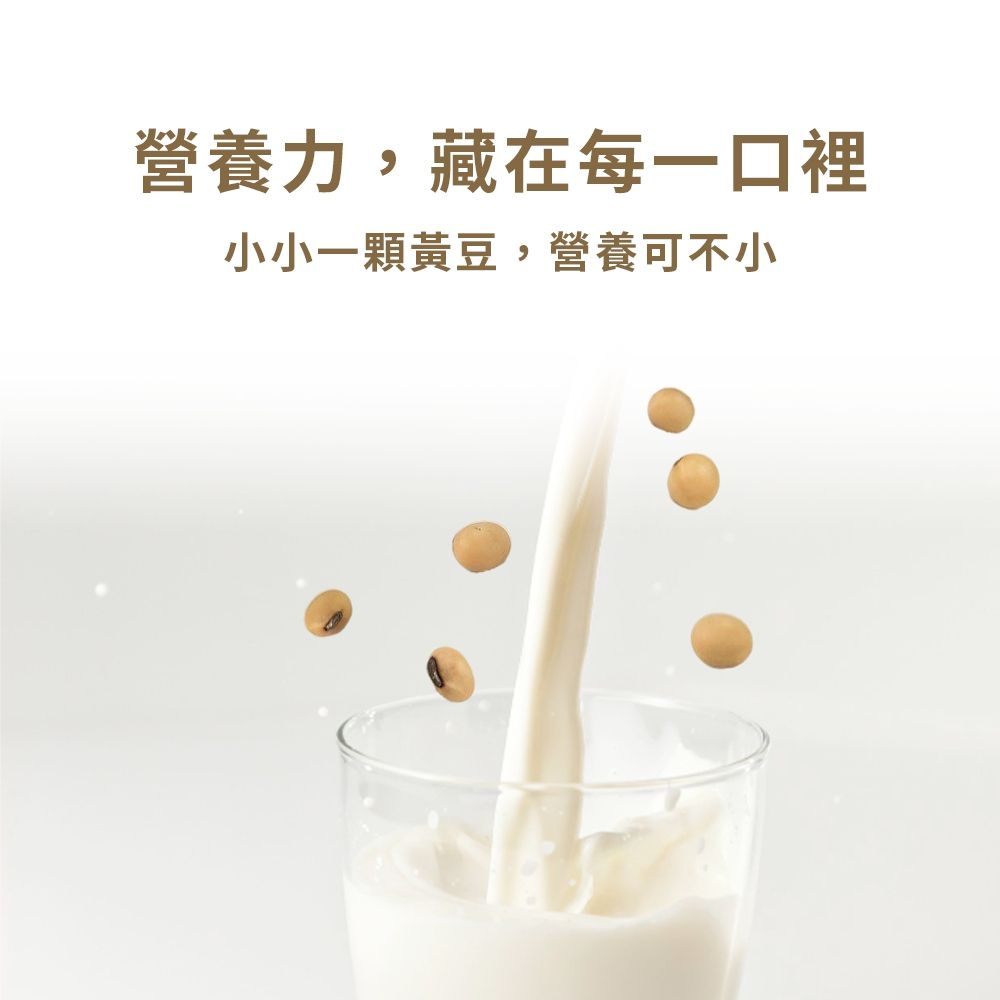 Truly Soymilk 真豆奶 (24入/箱)