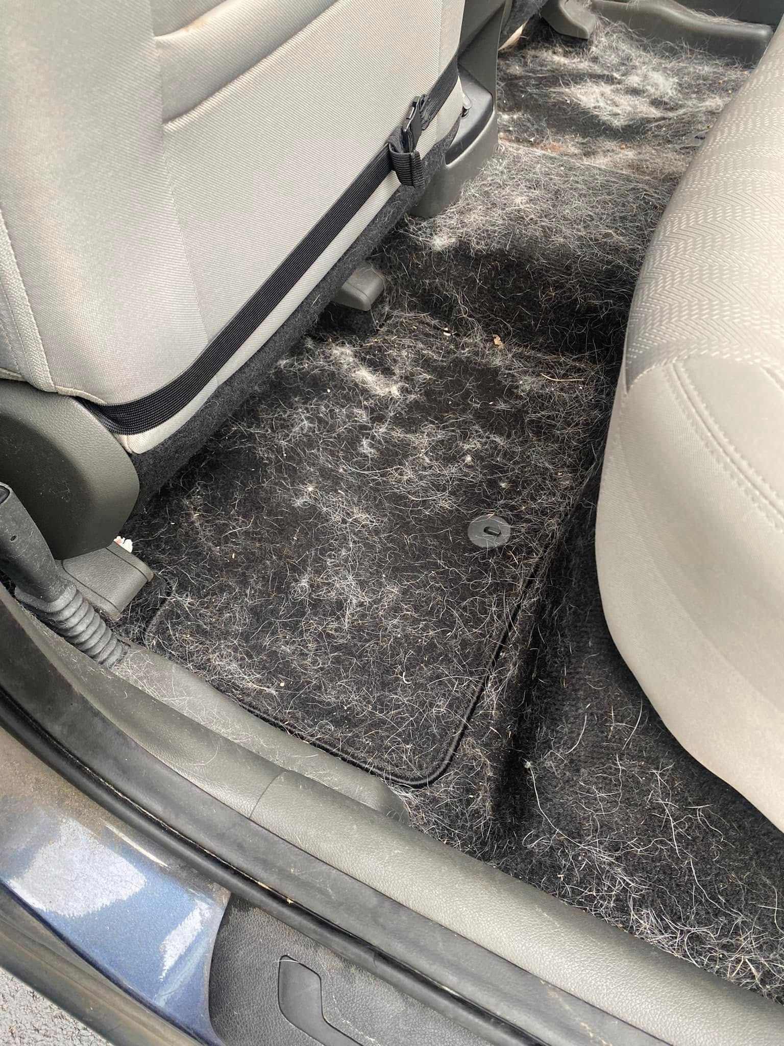 Car interior footwell with black floor mat and white front seats, dust and debris visible