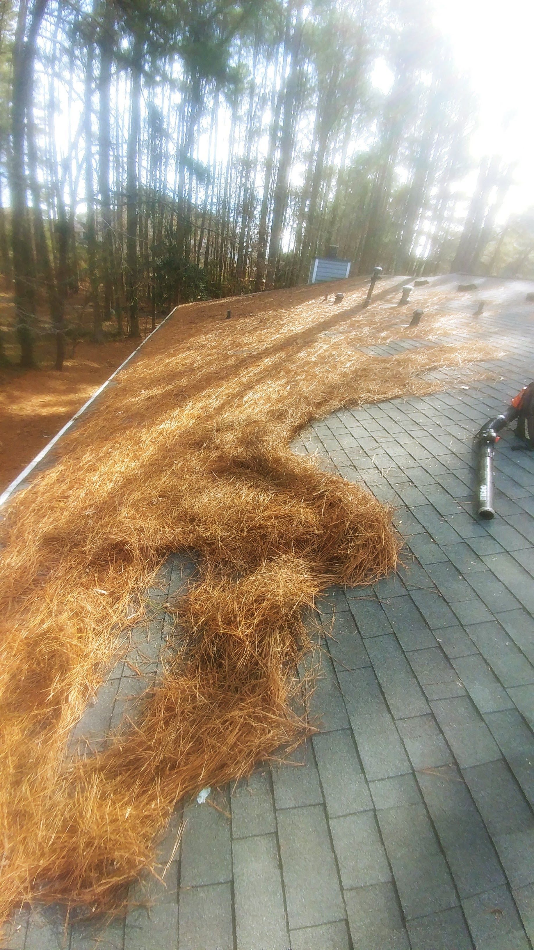 A pile of wood chips is sitting on top of a roof.